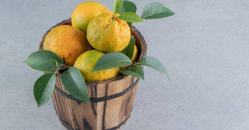 Freepik/ azerbaijan_stockers